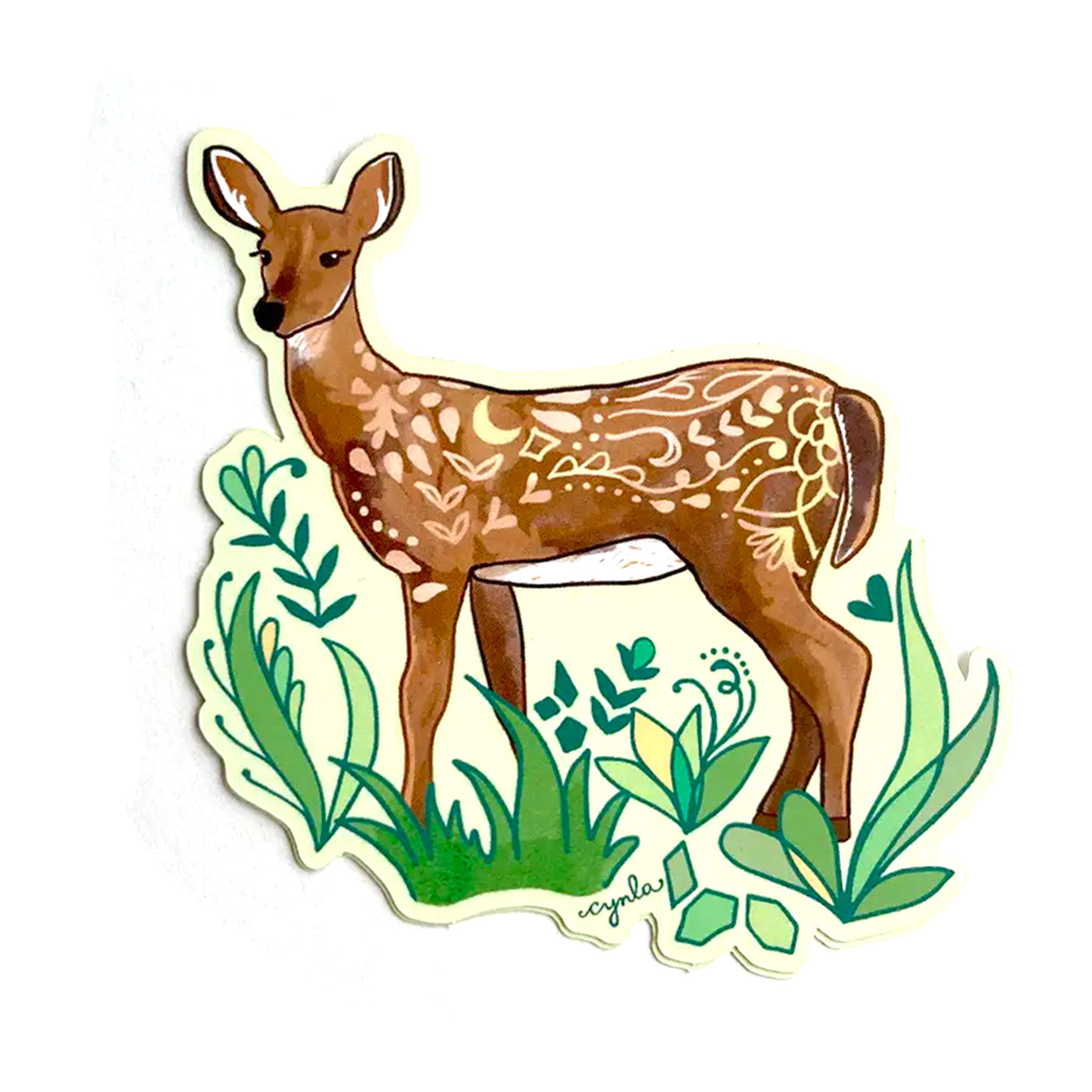 Doe Deer Drawing