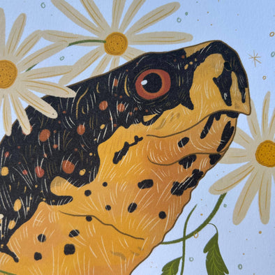 Box Turtle Art Print (8"x10")