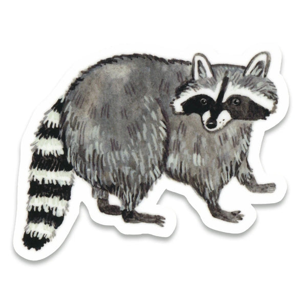 Raccoon Vinyl Sticker