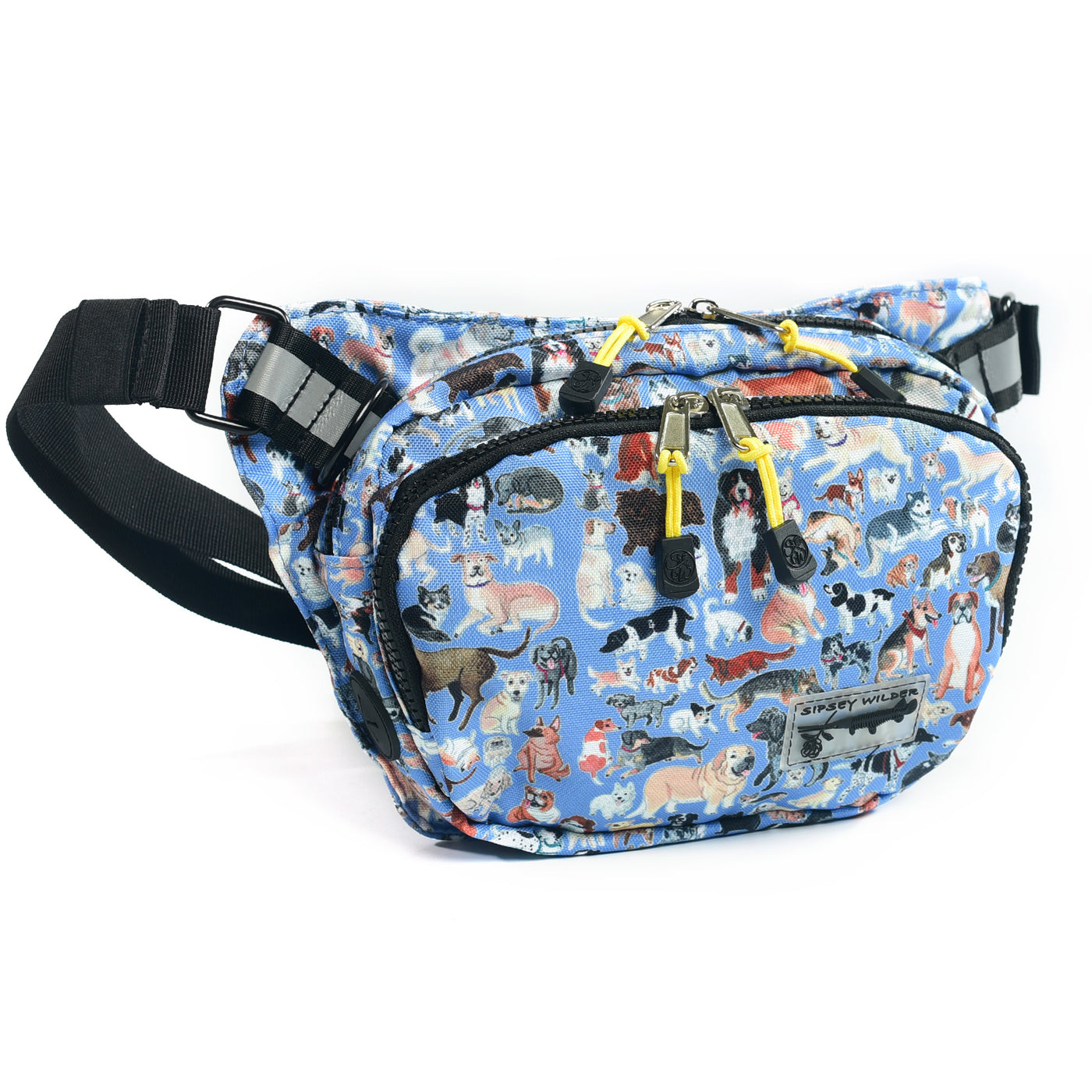 Fanny Pack 2.0